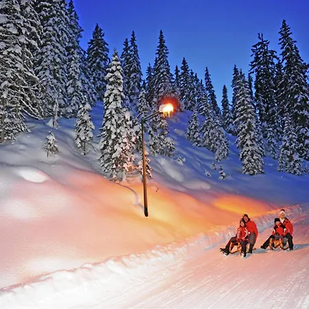 In Near Obertauern Skiing, Cleaning Included Apartment Untertauern